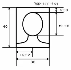 Format photo ID CEO VISA